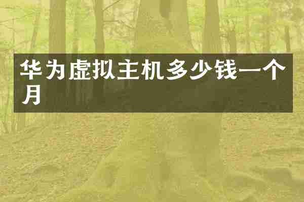 华为虚拟主机多少钱一个月