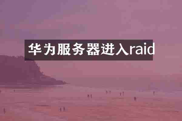 华为服务器进入raid