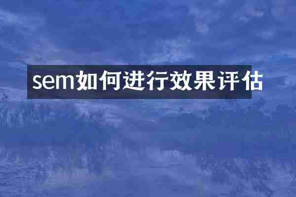 sem如何进行效果评估