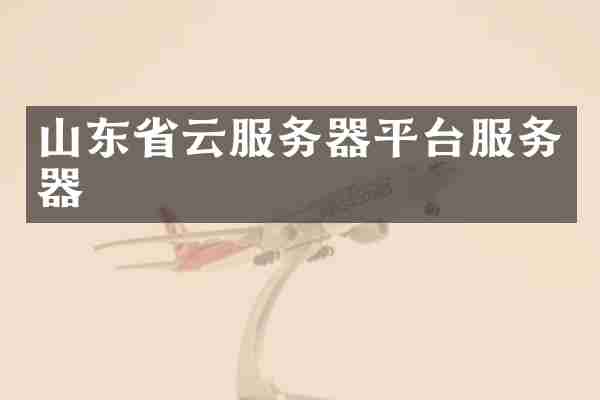 山东省云服务器平台服务器