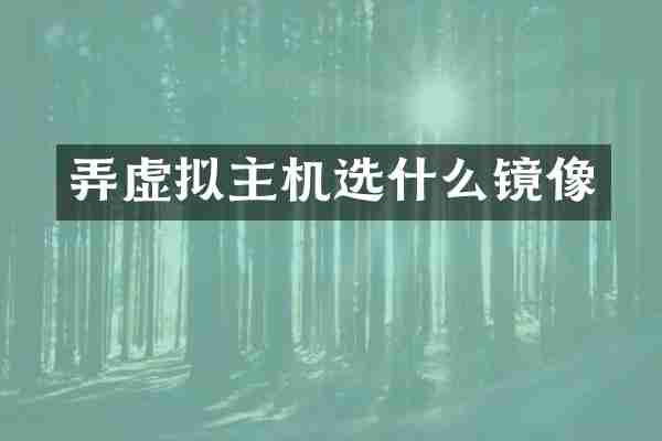 弄虚拟主机选什么镜像