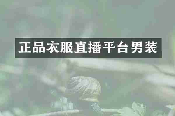 正品衣服直播平台男装