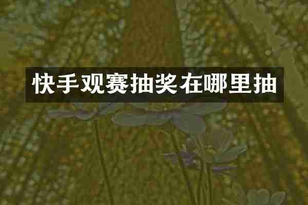 快手观赛抽奖在哪里抽