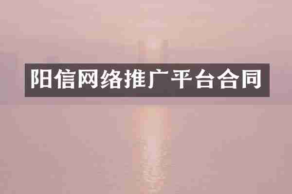 阳信网络推广平台合同