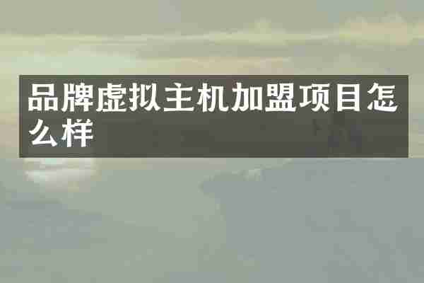 品牌虚拟主机加盟项目怎么样