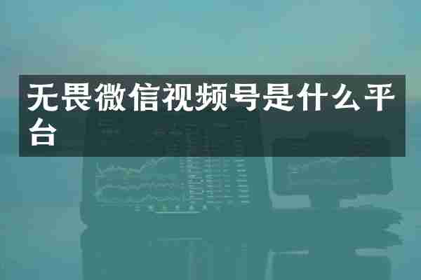 无畏微信视频号是什么平台