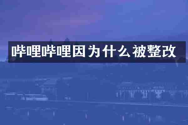 哔哩哔哩因为什么被整改