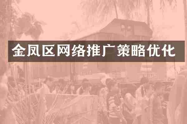 金凤区网络推广策略优化
