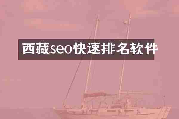 西藏seo快速排名软件