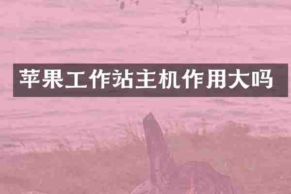 苹果工作站主机作用大吗