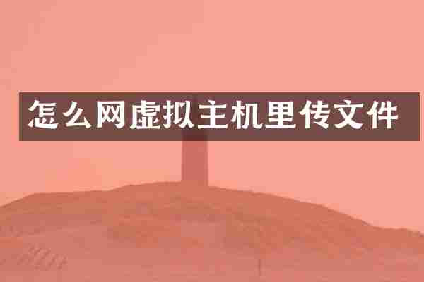 怎么网虚拟主机里传文件