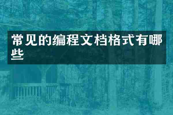 常见的编程文档格式有哪些