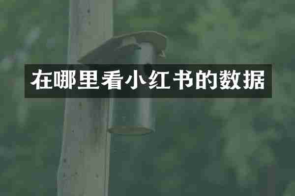 在哪里看小红书的数据