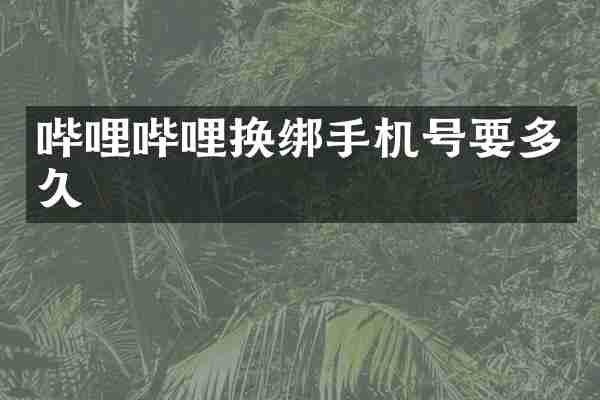 哔哩哔哩换绑手机号要多久