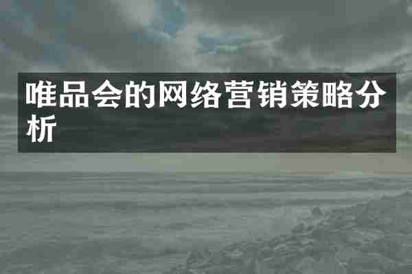 唯品会的网络营销策略分析