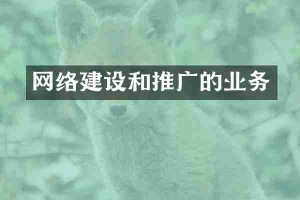 网络建设和推广的业务