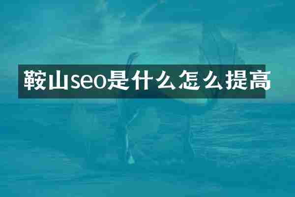 鞍山seo是什么怎么提高