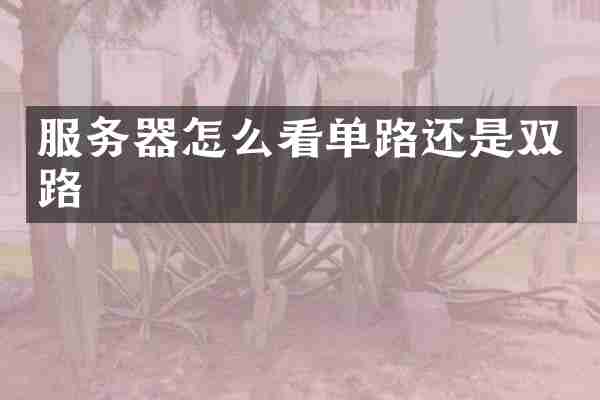 服务器怎么看单路还是双路