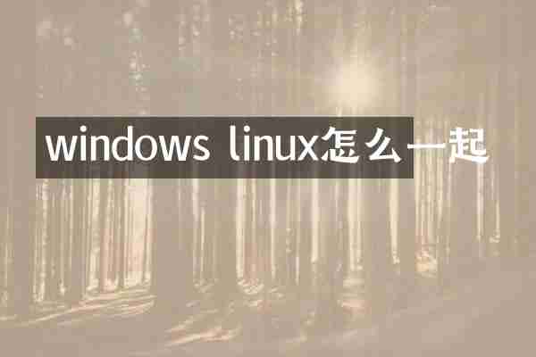 windows linux怎么一起