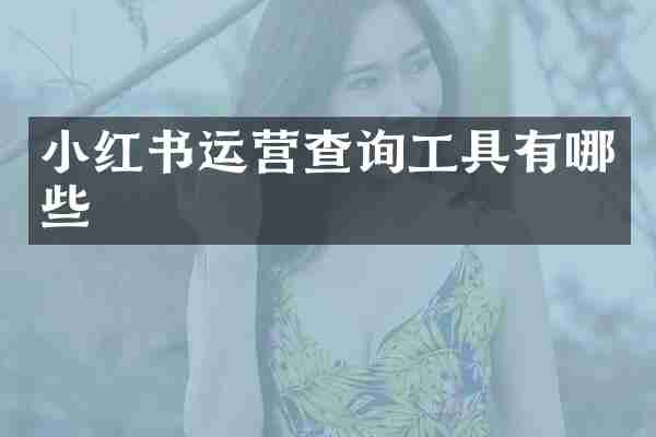 小红书运营查询工具有哪些