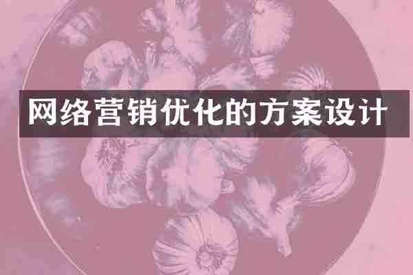 网络营销优化的方案设计