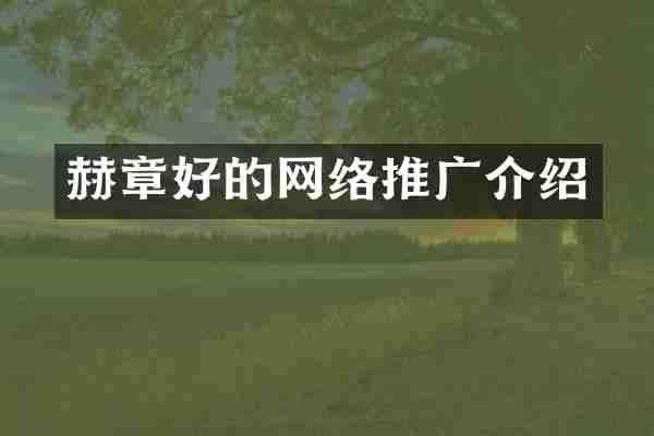 赫章好的网络推广介绍