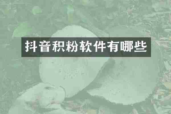 抖音积粉软件有哪些