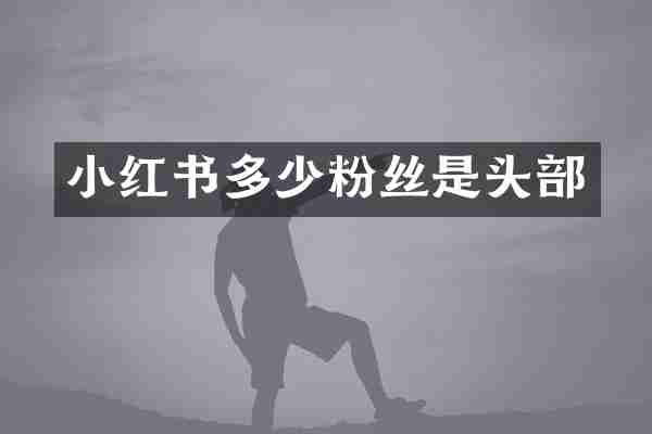 小红书多少粉丝是头部