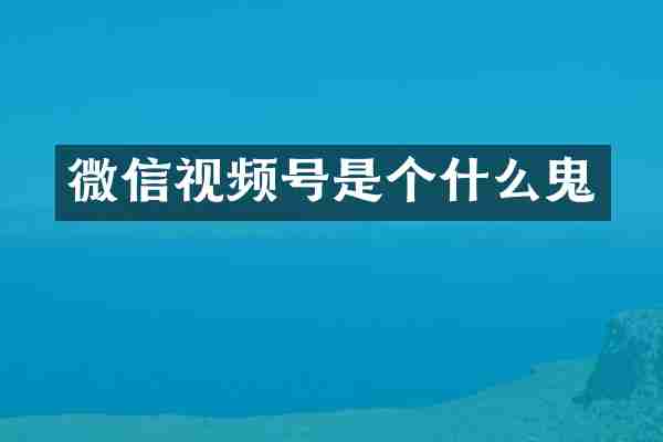 微信视频号是个什么鬼