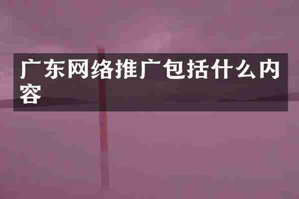 广东网络推广包括什么内容