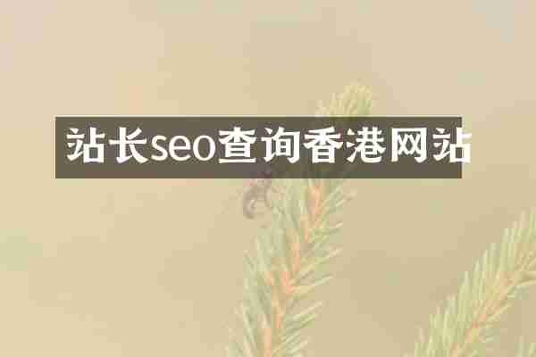 站长seo查询香港网站