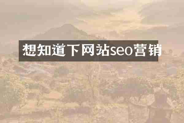 想知道下网站seo营销