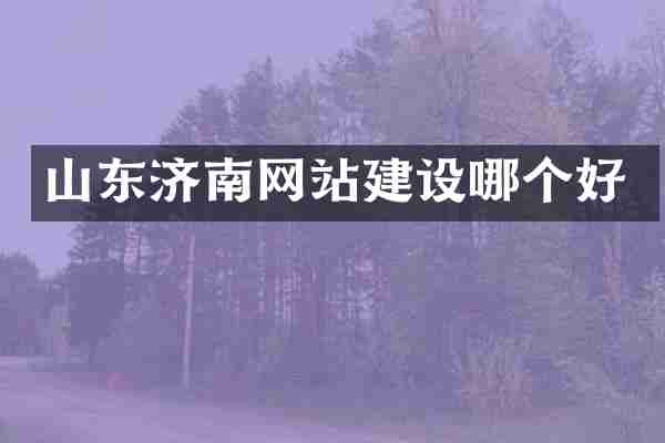 山东济南网站建设哪个好