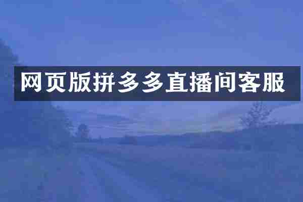 网页版拼多多直播间客服