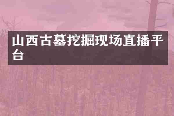 山西古墓挖掘现场直播平台