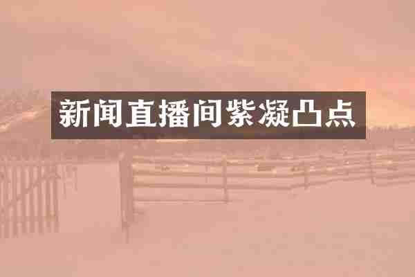 新闻直播间紫凝凸点