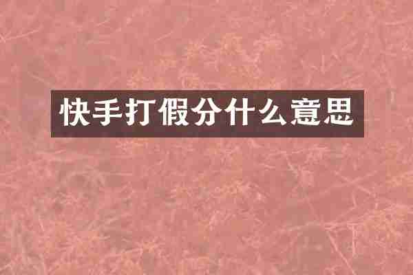 快手打假分什么意思