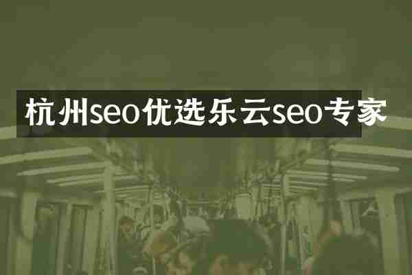 杭州seo优选乐云seo专家