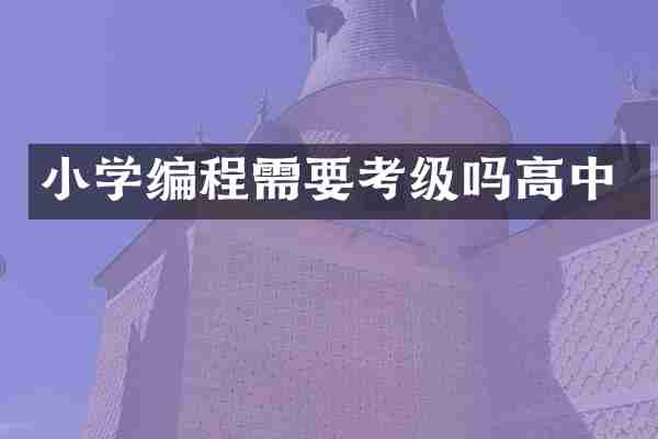 小学编程需要考级吗高中