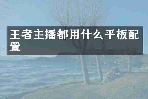王者主播都用什么平板配置