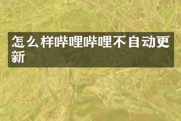 怎么样哔哩哔哩不自动更新