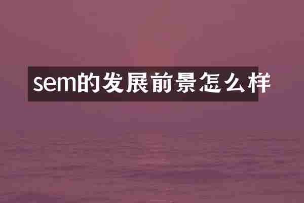 sem的发展前景怎么样