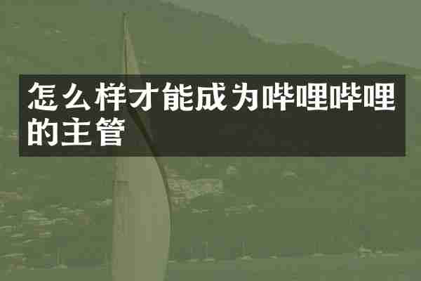 怎么样才能成为哔哩哔哩的主管