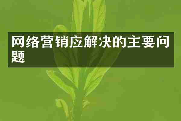 网络营销应解决的主要问题