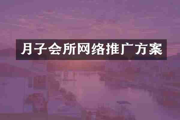 月子会所网络推广方案