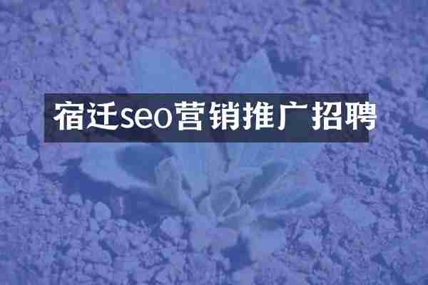 宿迁seo营销推广招聘