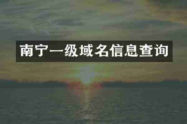 南宁一级域名信息查询