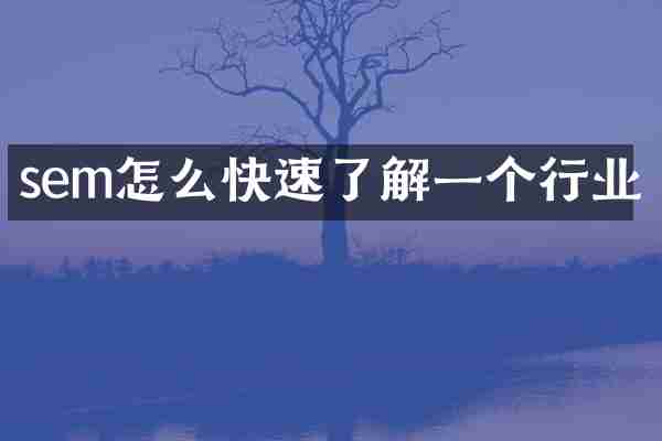 sem怎么快速了解一个行业