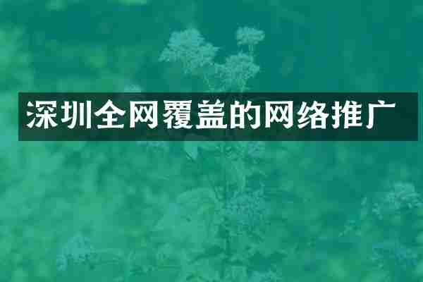 深圳全网覆盖的网络推广