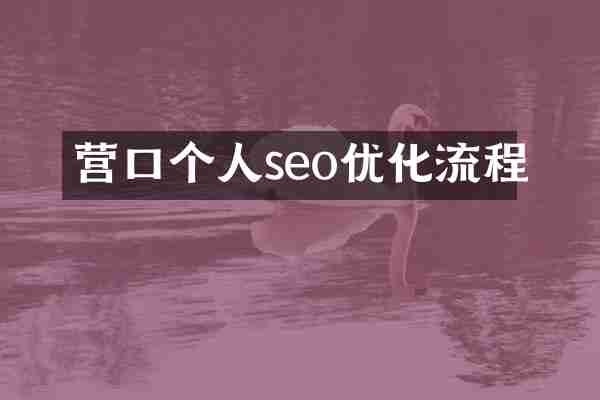 营口个人seo优化流程
